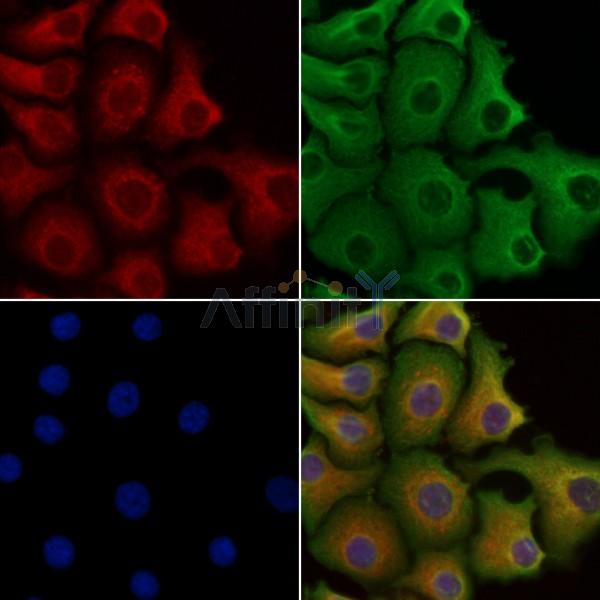 Валидация Affinity DF2304 - 12866