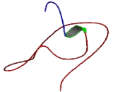 Interleukin 17 Receptor E Like Protein (IL17REL) Interleukin 17 Receptor E Like Protein (IL17REL)