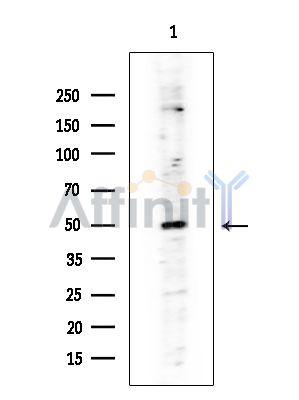 Валидация Affinity DF6208 - 17472