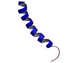 Chemokine Binding Protein 2 (CCBP2) Chemokine Binding Protein 2 (CCBP2)