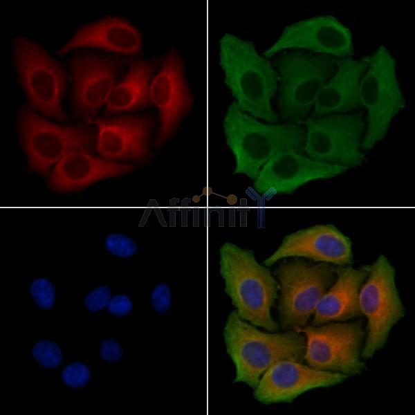 Валидация Affinity DF4281 - 15690