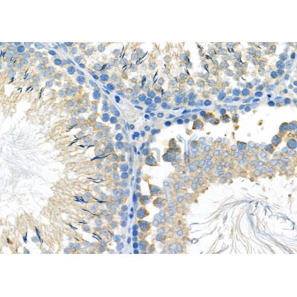 Валидация Affinity DF7883 - 19703