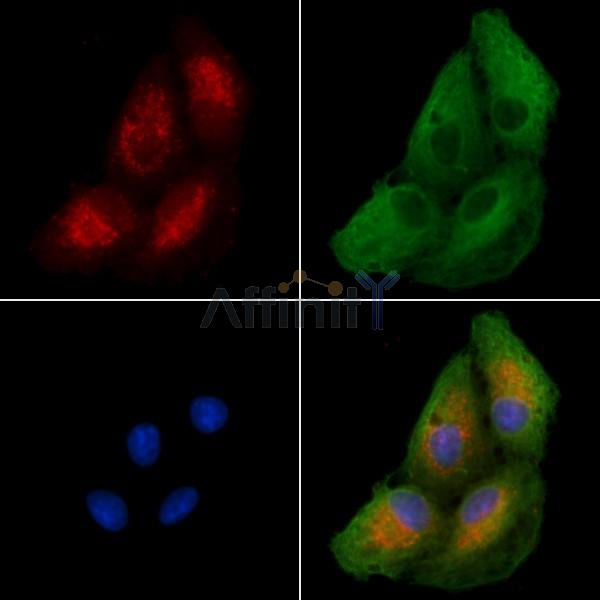 Валидация Affinity DF4872 - 16656