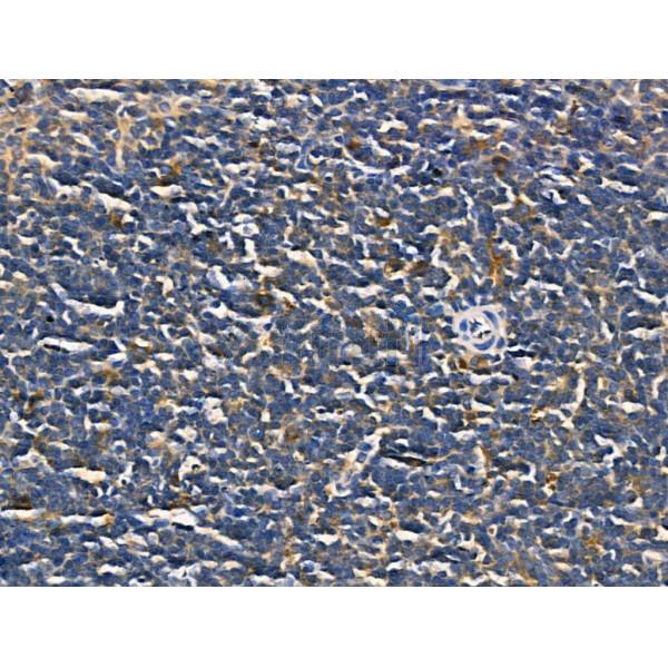 Валидация Affinity AF5275 - 2799