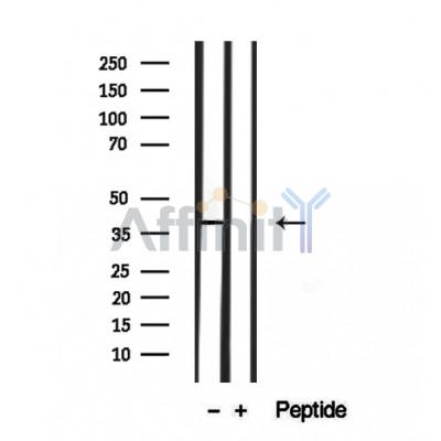 Валидация Affinity DF12351 - 6786