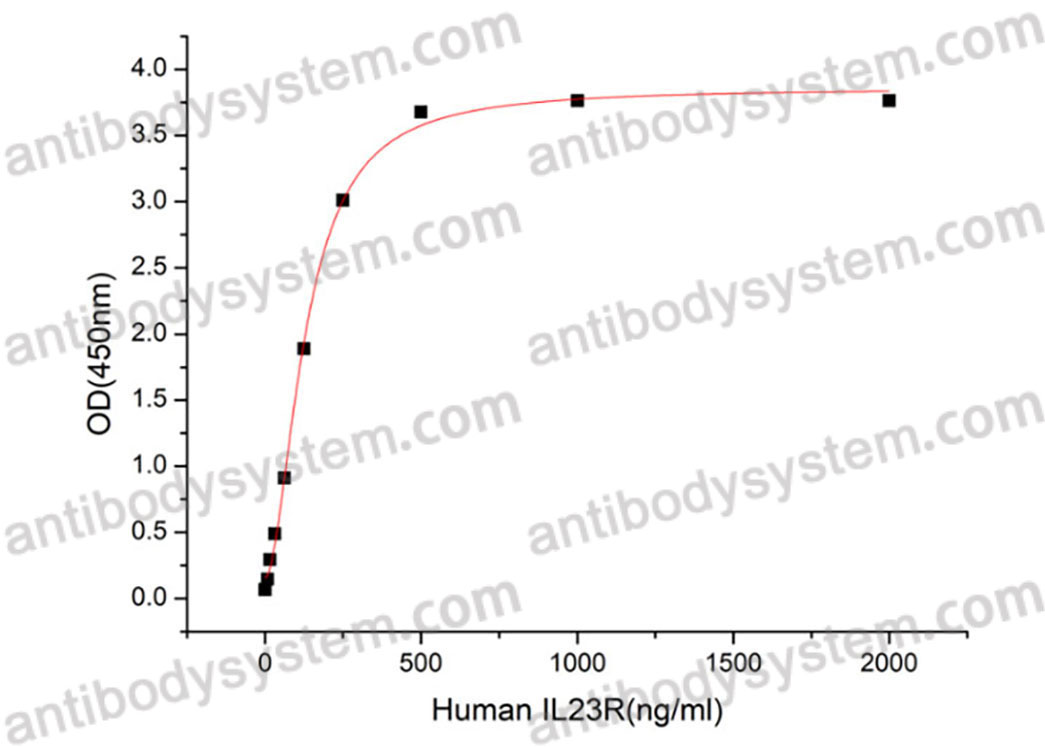 Валидация активности AntibodySystem AHJ03701