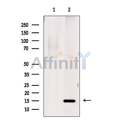 Валидация Affinity DF10158 - 5688