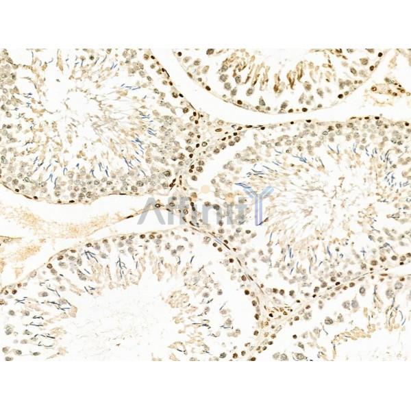 Валидация Affinity DF4645 - 16296