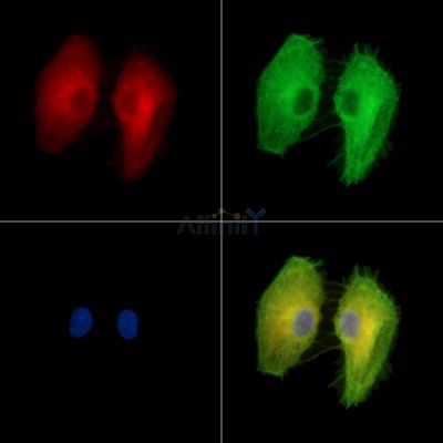 Валидация Affinity DF15254 - 11534