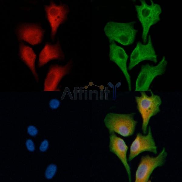 Валидация Affinity DF3468 - 14380