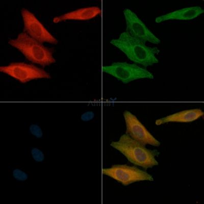 Валидация Affinity AF6182 - 3403