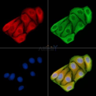 Валидация Affinity DF3491 - 14409