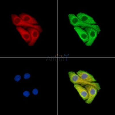 Валидация Affinity DF15463 - 11823