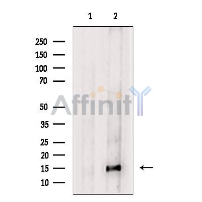 Валидация Affinity DF7596 - 19365