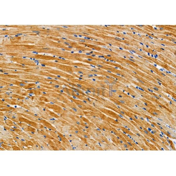 Валидация Affinity DF7911 - 19738