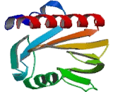 Profilin 4 (PFN4) Profilin 4 (PFN4)