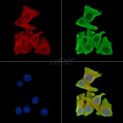 Валидация Affinity DF14922 - 11094