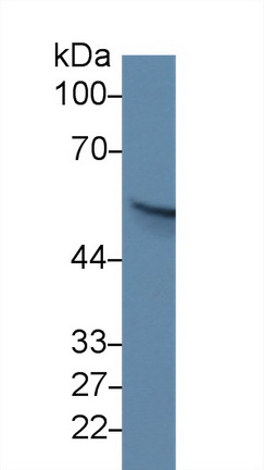 13922