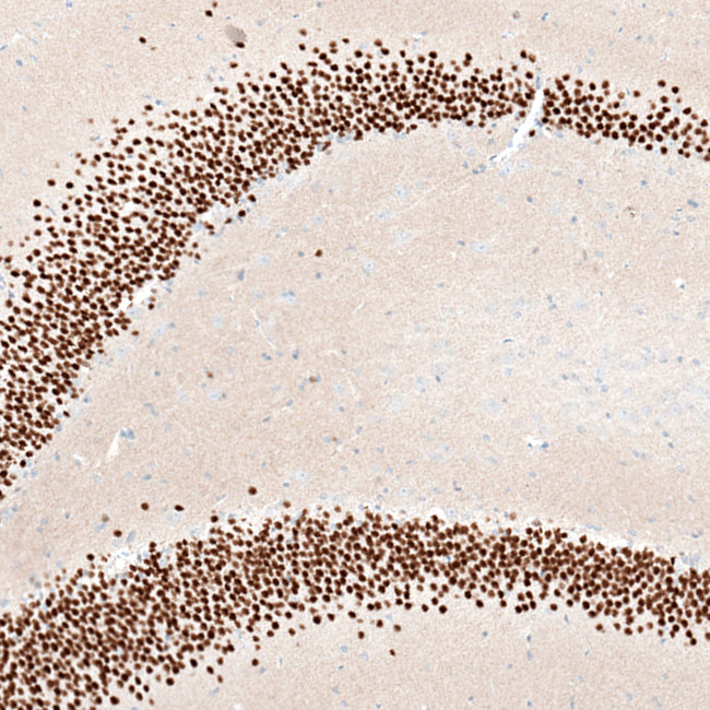 Валидация AssayVector ARM2679(5051)