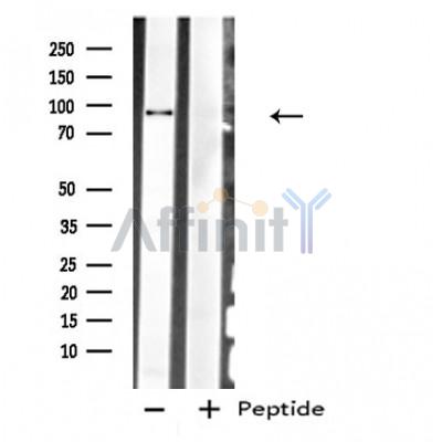 Валидация Affinity DF4837 - 16602