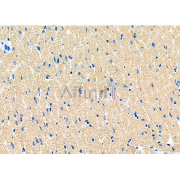 Валидация Affinity DF6697 - 18202