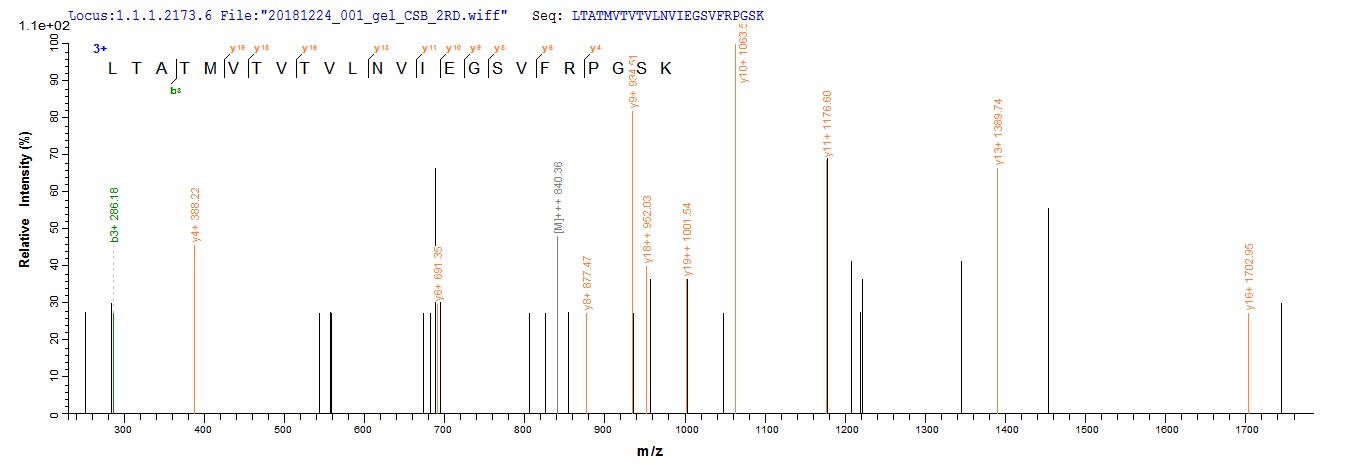 LC-MS/MS