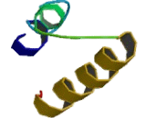 Chemokine C-C-Motif Receptor 8 (CCR8) Chemokine C-C-Motif Receptor 8 (CCR8)