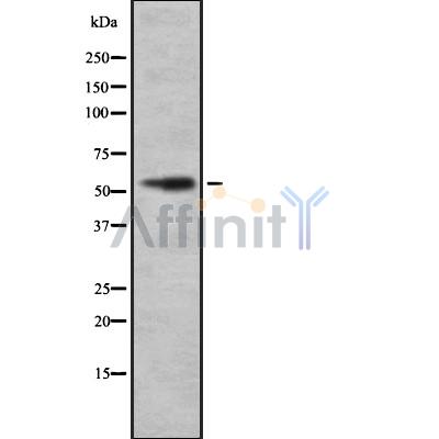 Валидация Affinity DF8460 - 20340