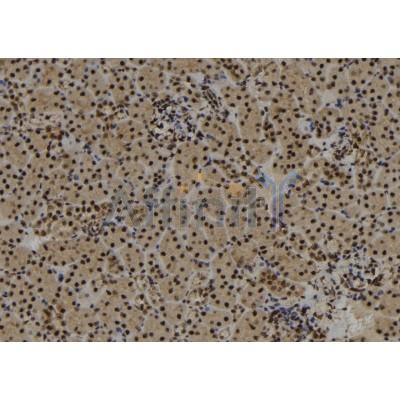 Валидация Affinity DF12173 - 6384