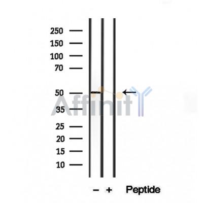 Валидация Affinity DF12373 - 6830
