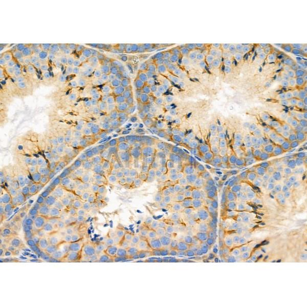 Валидация Affinity DF9935 - 22933