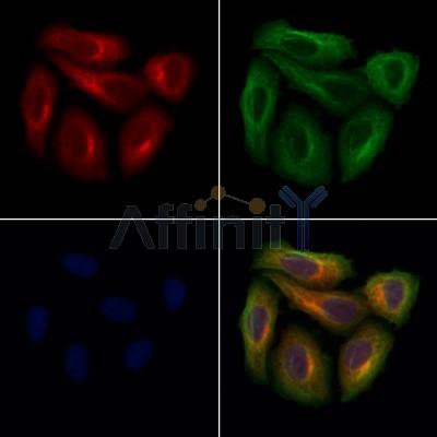 Валидация Affinity DF13440 - 8766