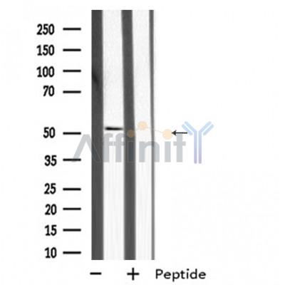 Валидация Affinity DF2362 - 12934