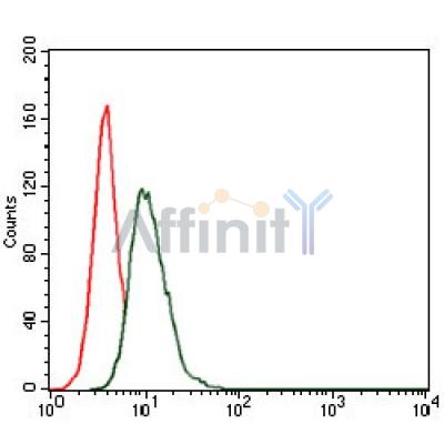 Валидация Affinity BF0084 - 5133