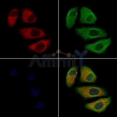 Валидация Affinity DF12783 - 7473