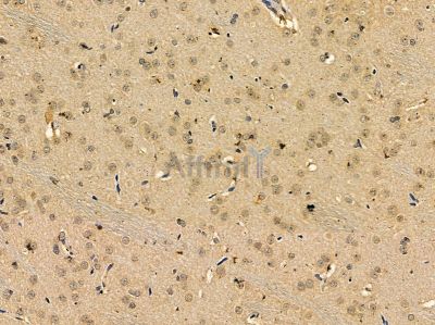 Валидация Affinity DF14524 - 10513