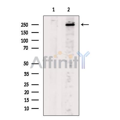 Валидация Affinity DF10014 - 5456