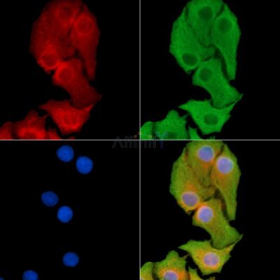 Валидация Affinity DF14229 - 10075