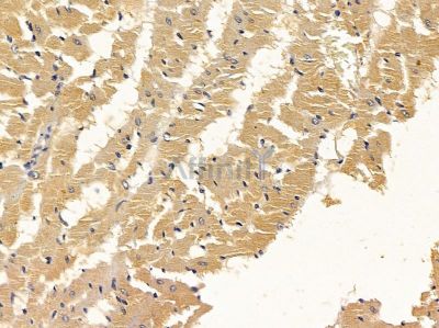 Валидация Affinity DF3891 - 15056