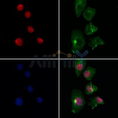 Валидация Affinity DF12694 - 7354