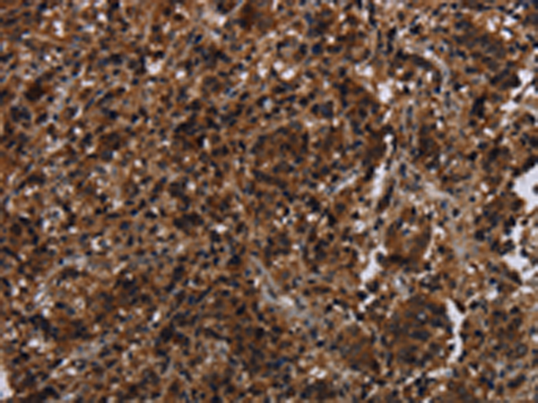 Валидация AssayVector ARM1129(364)