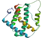 Interleukin 28A (IL28A) Interleukin 28A (IL28A)