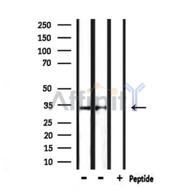 Валидация Affinity DF6551 - 17988