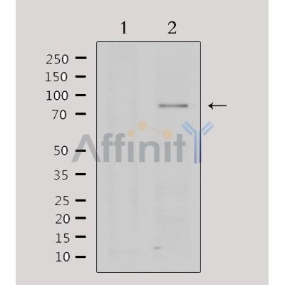 Валидация Affinity DF6439 - 17814