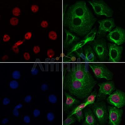 Валидация Affinity DF3079 - 13820