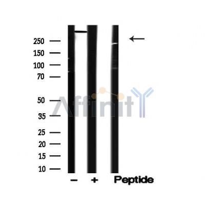 Валидация Affinity AF4767 - 2386