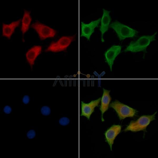 Валидация Affinity DF10152 - 5681