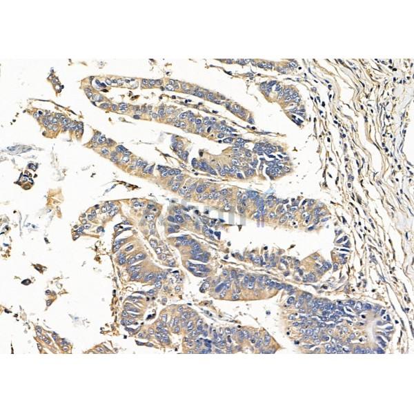 Валидация Affinity DF9956 - 22973