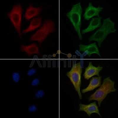 Валидация Affinity DF8629 - 20572