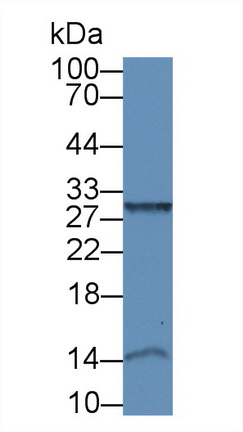 8836